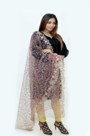 Soft Net Light Moka Color Golden Embroidered