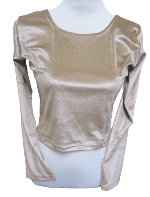 Velvet Blouse Light Gold - Image 2