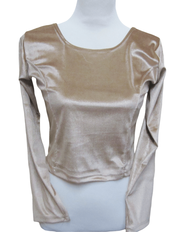 Velvet Blouse Light Gold