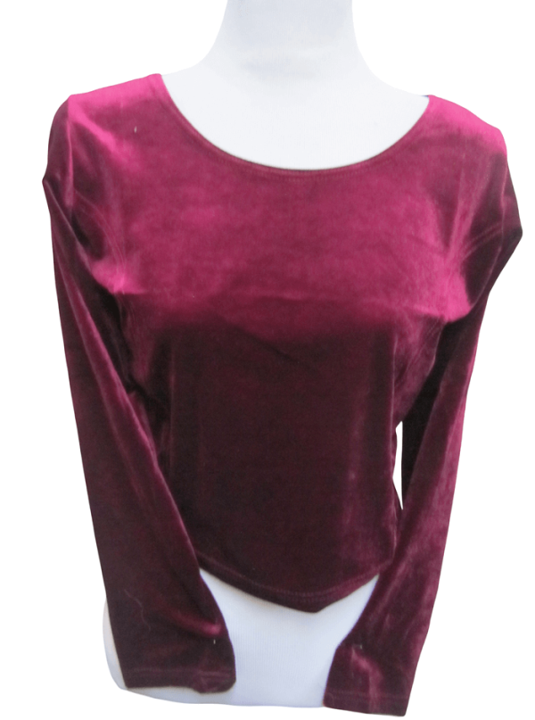 Velvet Blouse Wine